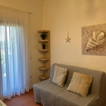 Ginepro, Baia Caddinas Golfo Aranci